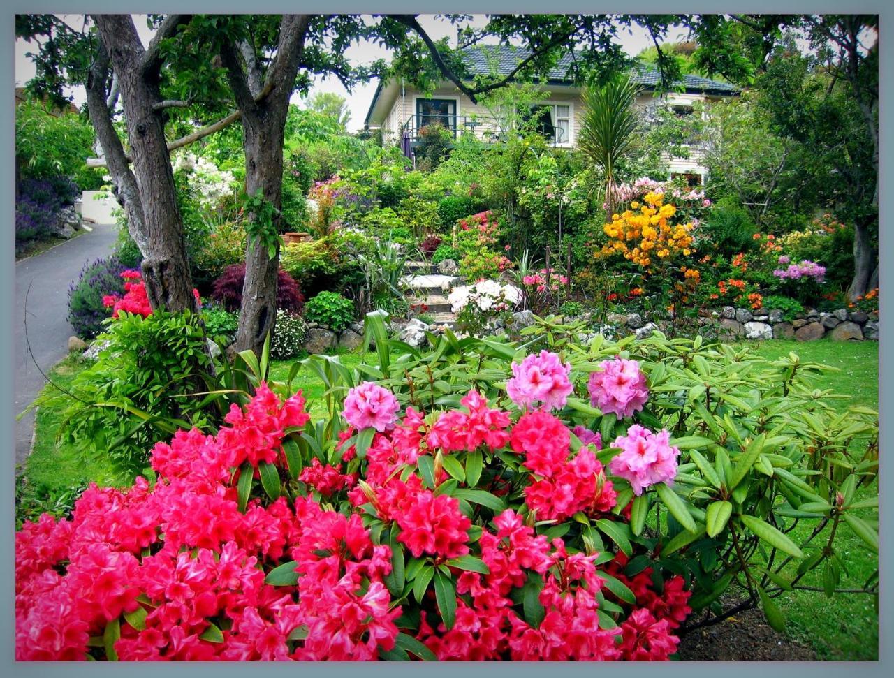 Mcauley Glen Boutique B&B Portobello Buitenkant foto