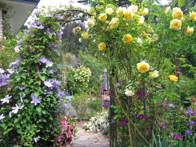 Mcauley Glen Boutique B&B Portobello Buitenkant foto